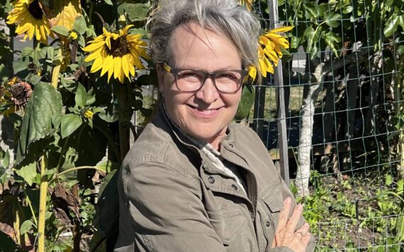 Sunflowers have been cultivated for thousands of years for their delicious seeds and lofty beauty. Discover more about these versatile plants and how they can benefit you! Join Clallam County Master Gardener Kendra Waggoner for the Green Thumb Education Series presentation, “The Wonders of Sunflowers,” Thursday, Oct. 10 from noon – 1 p.m. at St. Andrews Episcopal Church, 510 E. Park Avenue in Port Angeles. (Photo by David Waggoner).