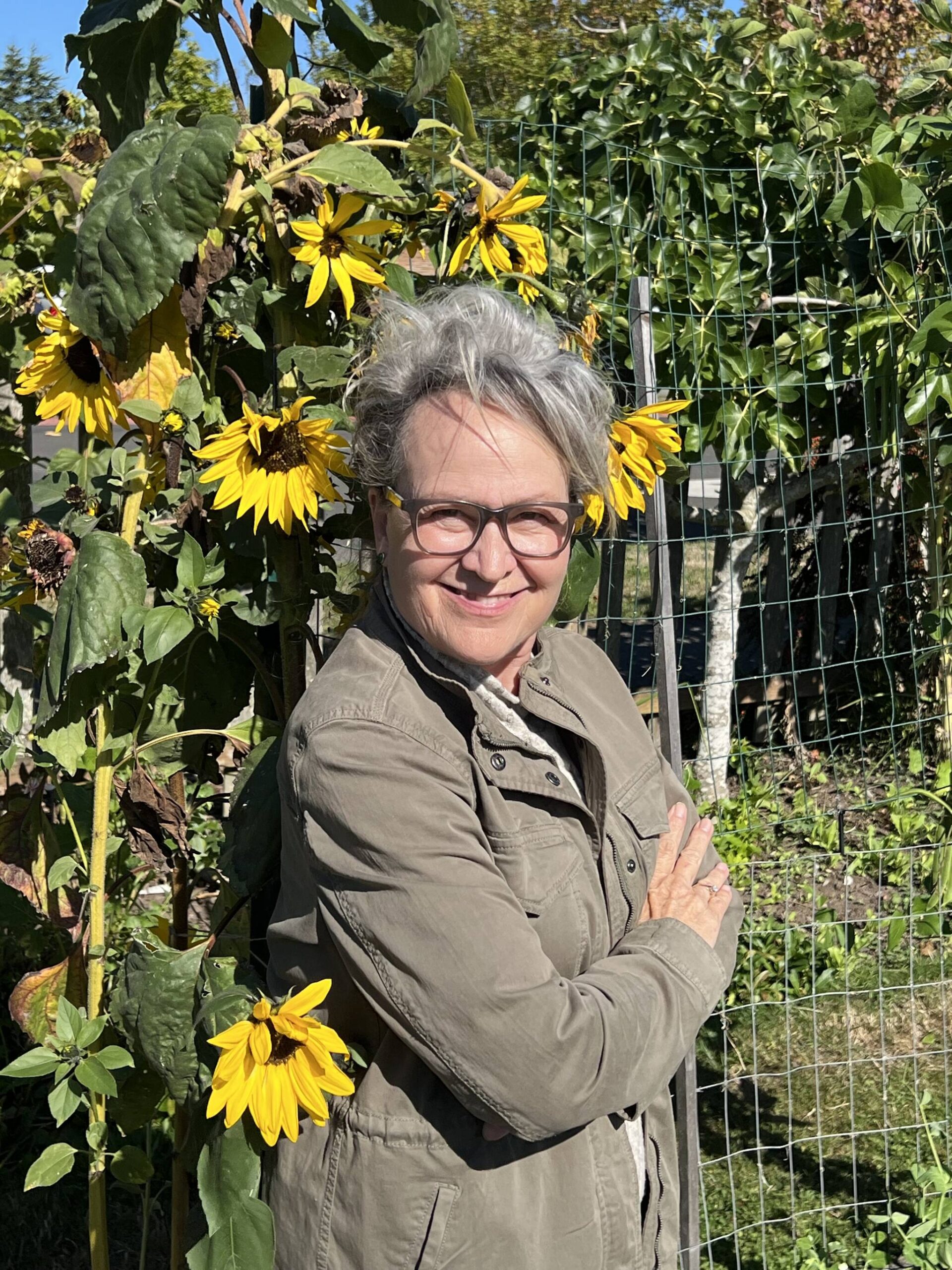 Sunflowers have been cultivated for thousands of years for their delicious seeds and lofty beauty. Discover more about these versatile plants and how they can benefit you! Join Clallam County Master Gardener Kendra Waggoner for the Green Thumb Education Series presentation, “The Wonders of Sunflowers,” Thursday, Oct. 10 from noon – 1 p.m. at St. Andrews Episcopal Church, 510 E. Park Avenue in Port Angeles. (Photo by David Waggoner).