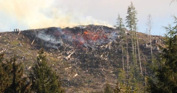 Smoke could be seen from downtown Forks on Sunday as a fire was burning on the west side of a hill on the north side of the “A” Road. It was not sure if this was a prescribed burn or something else but there was much speculation. It caused concern for many …thankfully it was raining Monday morning. Photo Lonnie Archibald