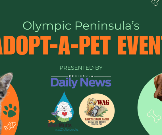 <p>The adopt-a-pet event will run from Oct. 17-31.</p>