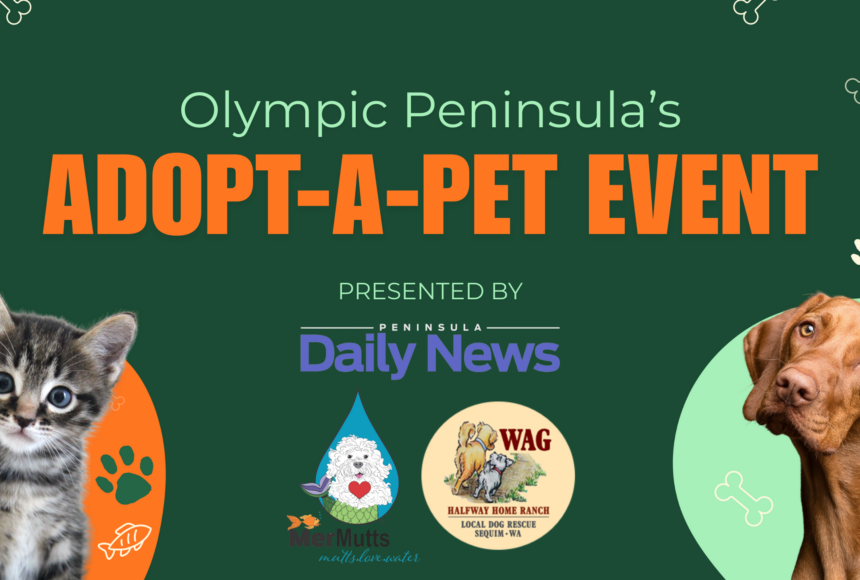 <p>The adopt-a-pet event will run from Oct. 17-31.</p>