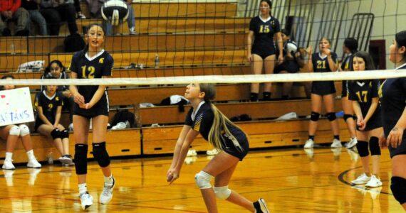 The Forks 7th grade volleyball team defeated Blue Heron 3 to 0. The 7th graders from left are Olivia Black (12), Lillian Crippen (1), Raven Sherman (17), and Ileana Salazar (44), The FMS 8th grade also defeated Blue Heron 3 to 0. Photo by Lonnie Archibald