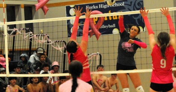 With Spartans rooters looking on, Avery Dilley hits against the Fishermen who Forks defeated in three sets at home on October 24. Photo by Lonnie Archibald