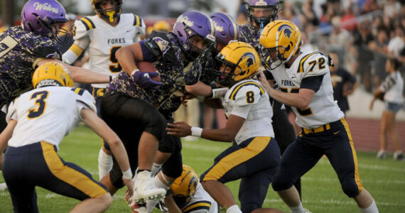 Michael Dashiell/Olympic Peninsula News Group Sequim’s Lars Wiker, with ball, is tackled by, from left, Forks’ Gage Willenbrink, Bubba Hernandez and Sawyer Graham. Hernandez, Graham and Willenbrink were all honored in all-league voting by Class 2B Central League West Division coaches.