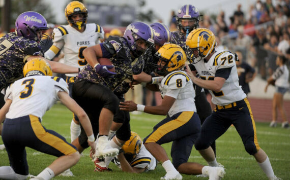 Michael Dashiell/Olympic Peninsula News Group Sequim’s Lars Wiker, with ball, is tackled by, from left, Forks’ Gage Willenbrink, Bubba Hernandez and Sawyer Graham. Hernandez, Graham and Willenbrink were all honored in all-league voting by Class 2B Central League West Division coaches.