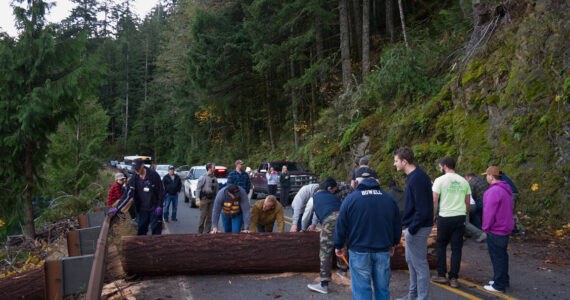 A group of bystanders worked to move a fallen tree from the roadway around Lake Crescent last week. Photo by Gustavus Aronson