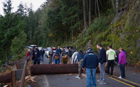 A group of bystanders worked to move a fallen tree from the roadway around Lake Crescent last week. Photo by Gustavus Aronson