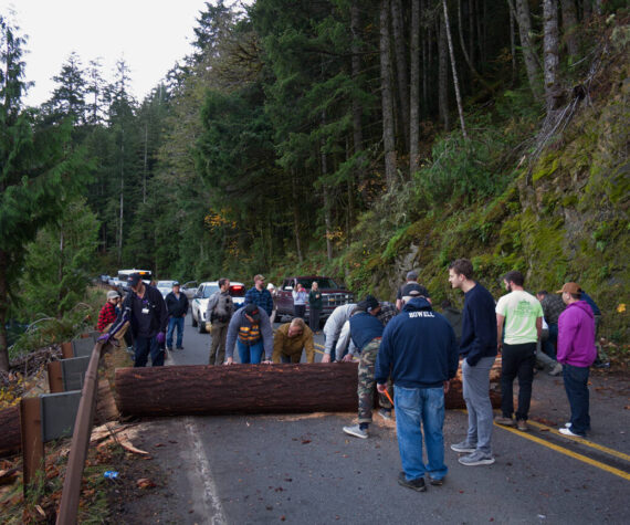 A group of bystanders worked to move a fallen tree from the roadway around Lake Crescent last week. Photo by Gustavus Aronson