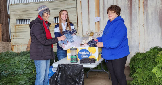 Cindy Mesenbrink and Diane Edwards of Soroptimist, with volunteer honor student Aliya Gillett of FHS, were at Pacific Forest Managements garage on Sol Duc Way Friday Nov. 22, to deliver wreath orders, as part of Festival of Trees. Shown here fluffing the bows! Photo by Katie Krueger