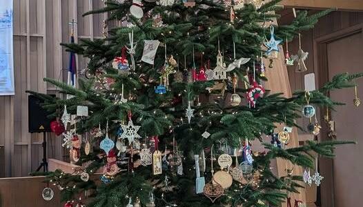 The Longest Night tree is set and decorated in the Congregational Church Sanctuary. “Thank you Ken and Darlene Olson for sharing your lovely trees with us every year!” 
“During our Longest Night service community members will have a chance to add ornaments in memory of their loved ones.”