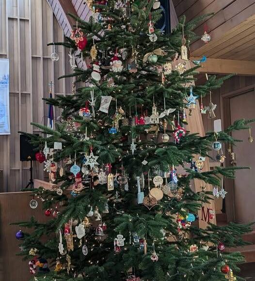 <p>The Longest Night tree is set and decorated in the Congregational Church Sanctuary. “Thank you Ken and Darlene Olson for sharing your lovely trees with us every year!” </p>
                                <p>“During our Longest Night service community members will have a chance to add ornaments in memory of their loved ones.”</p>