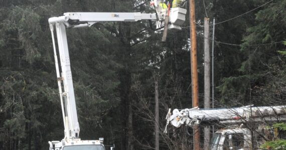 The Clallam County Public Utility District made repairs to power lines after the wind blew trees and limbs into electrical wires and poles near Three Rivers Saturday morning. The Clallam County County Road Department also removed a tree from the Quillayute Road early Saturday morning. 
Photo by Lonnie Archibald