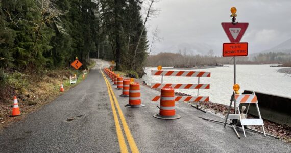 Upper Hoh Road | Olympic National Park photo
Upper Hoh Rd. MP 8. ONP Photo