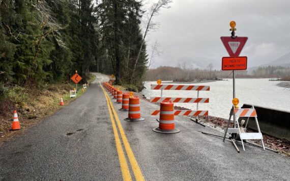 Upper Hoh Road | Olympic National Park photo