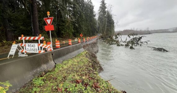 The Upper Hoh Road is closed at milepost 9.7 after heavier flows eroded pavement. Photo Terry Breedlove