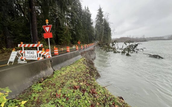 The Upper Hoh Road is closed at milepost 9.7 after heavier flows eroded pavement. Photo Terry Breedlove