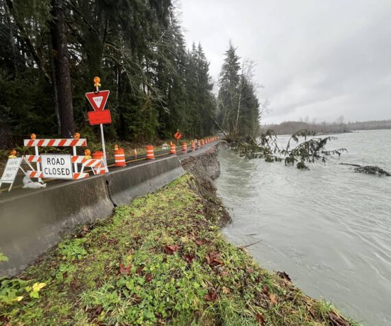 The Upper Hoh Road is closed at milepost 9.7 after heavier flows eroded pavement. Photo Terry Breedlove