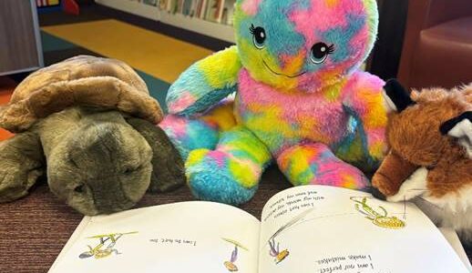 Children are invited to leave their stuffed toys for a Forks Library sleepover on Tuesday, Feb. 11.