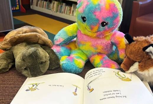 Children are invited to leave their stuffed toys for a Forks Library sleepover on Tuesday, Feb. 11.