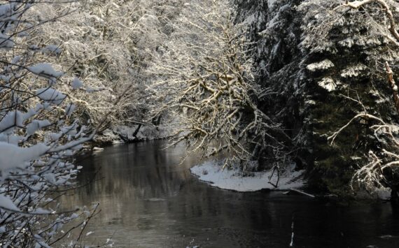 Photo by Lonnie Archibald
The waters of the Sol Duc ran cool as snow lined its banks on February 2. We never know what tomorrow might bring but for now Mother Nature has sent a touch of white along her banks where these cool waters flow.