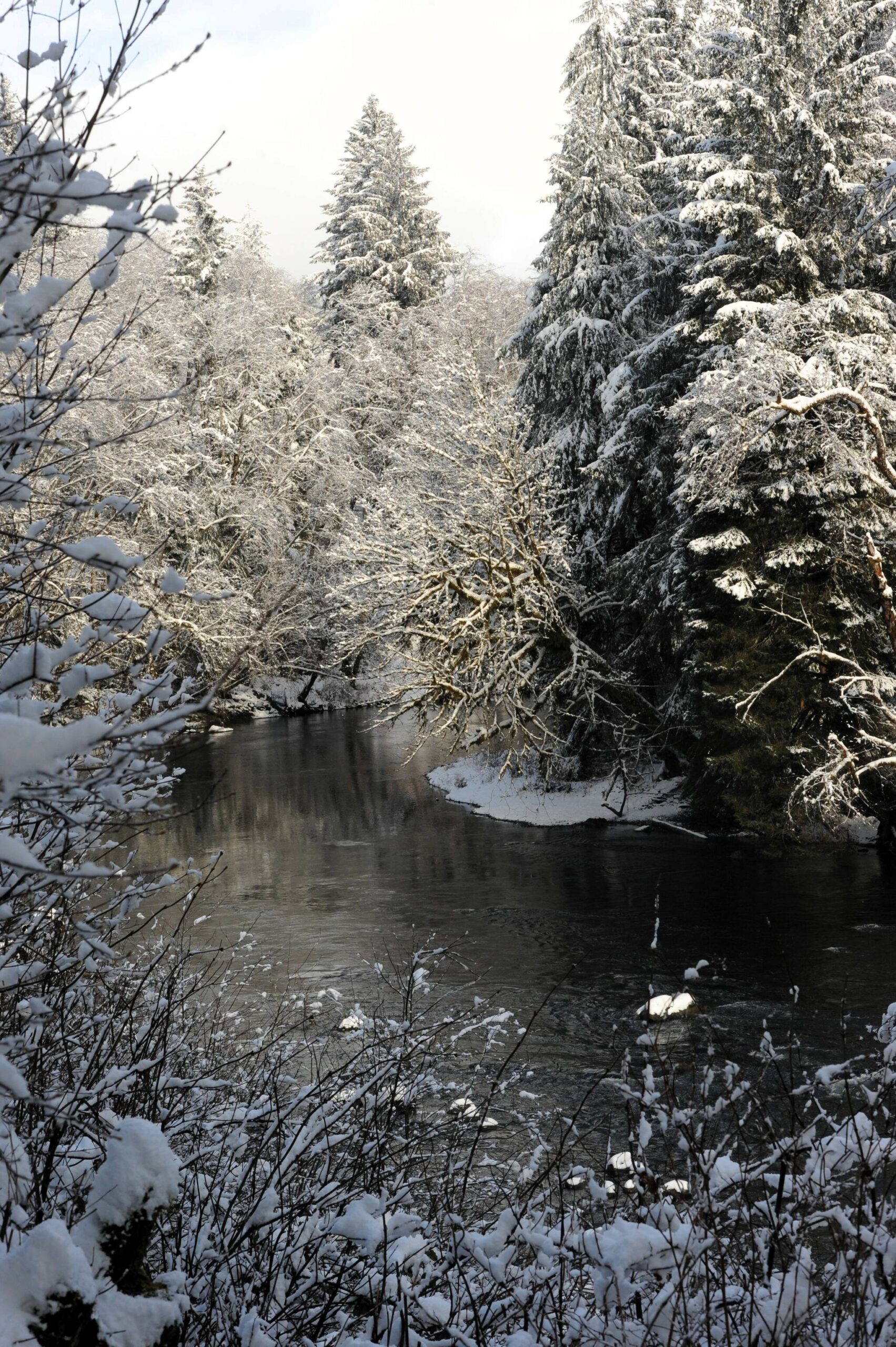 Photo by Lonnie Archibald
The waters of the Sol Duc ran cool as snow lined its banks on February 2. We never know what tomorrow might bring but for now Mother Nature has sent a touch of white along her banks where these cool waters flow.