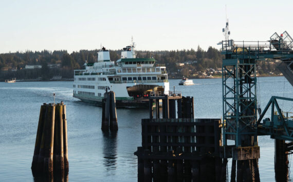 Photo by Juan Jocom
The Walla Walla on its way to Bremerton port on Jan 18. Currently, only one vessel is servicing the Bremerton route, with departures every two and a half hours.